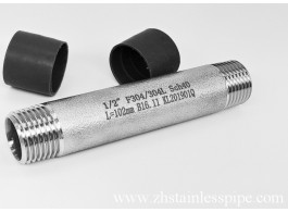 Double-headed pipe nipple male screw thread L 100mm Double-headed pipe nipple male screw thread L 100mm
